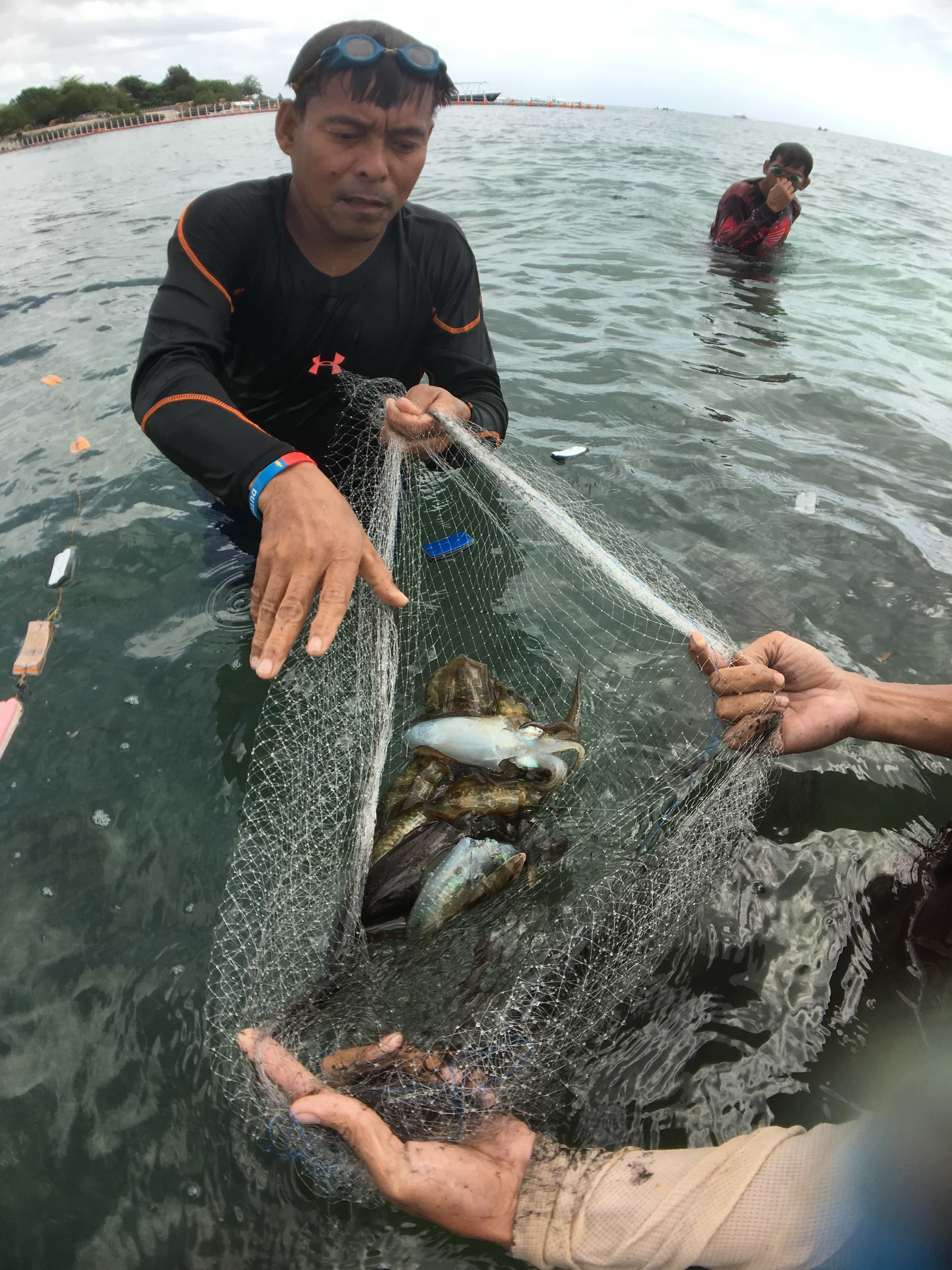 things to do in bohol, bohol tourist spots, chocolate hills in bohol, bohol tourist spots itinerary, bohol tourist spots, what to do in loboc bohol, where to stay in bohol, how to get to bohol