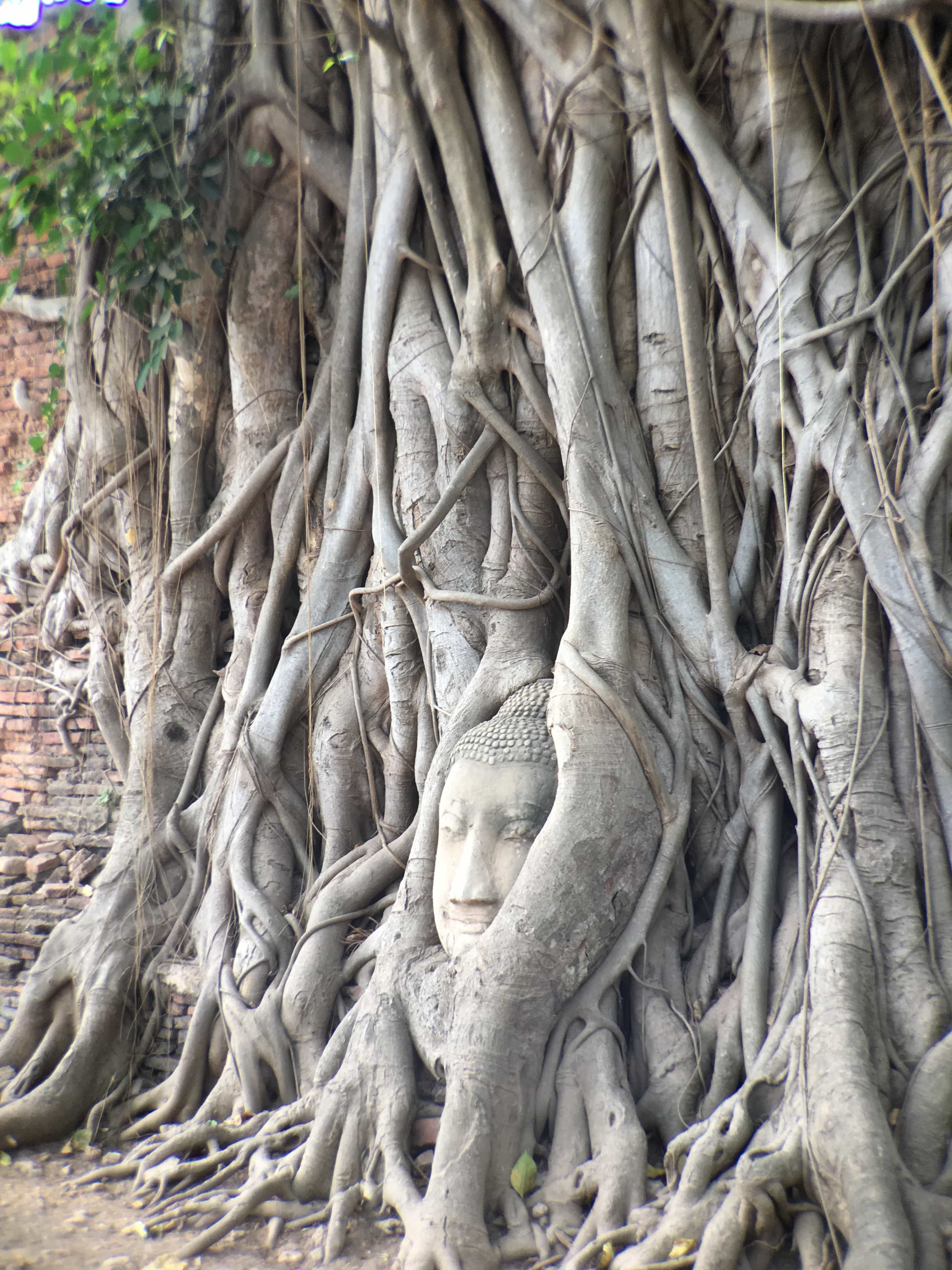 9 Best Things To Do In Ayutthaya (Travel Guide) 3 things to do in ayutthaya, where to stay in ayutthaya, what to eat in ayutthaya, how to get to ayutthaya