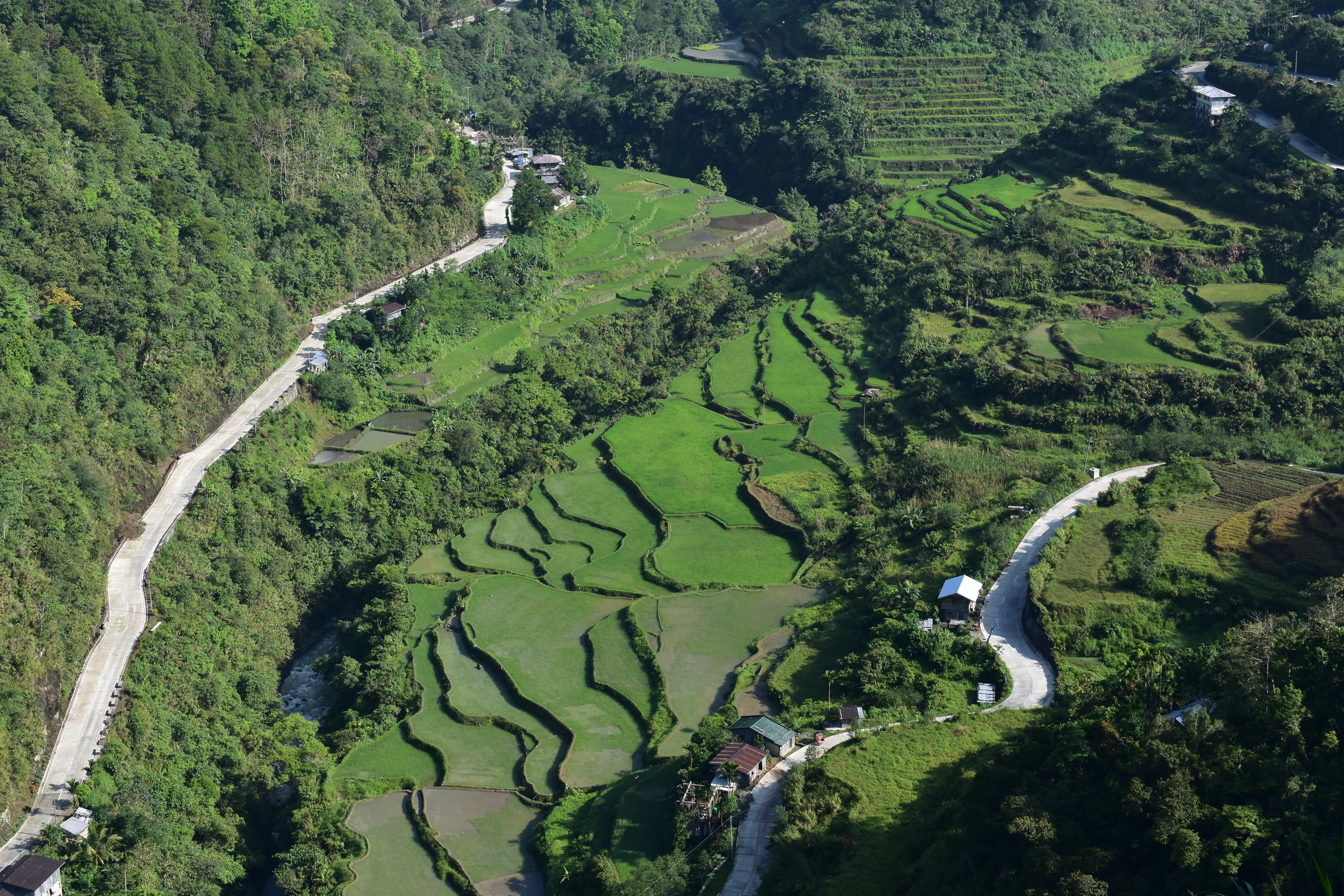 7 Things to do in Banaue (Travel Guide) 2 Hapao rice terraces, things to do in banaue, banaue rice terraces, banaue rices terraces tour, banaue to manila, manila to banaue, banaue rice terraces hotels, batad rice terraces, rice terraces philippines, manila to sagada, ifugao rice terraces, how to go to sagada, banaue tourist spots, where to eat in banaue, baguio to banaue rice terraces