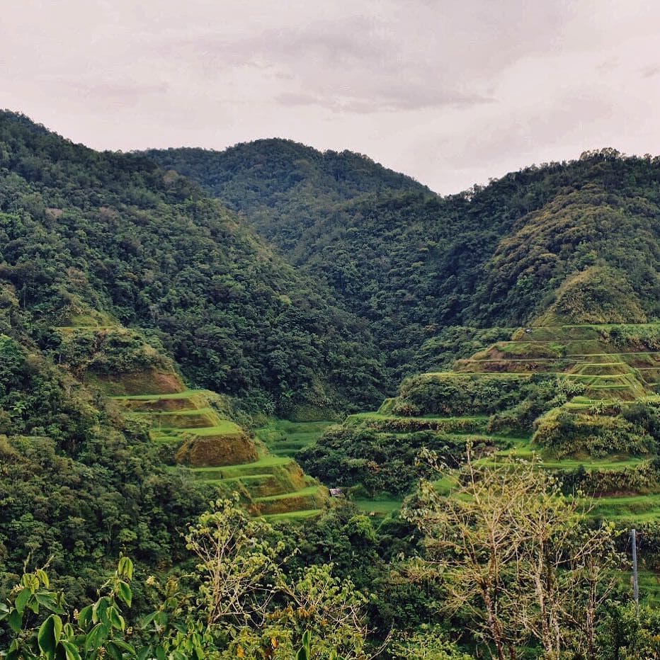 7 Things to do in Banaue (Travel Guide) 15 things to do in banaue, banaue rice terraces, banaue rices terraces tour, banaue to manila, manila to banaue, banaue rice terraces hotels, batad rice terraces, rice terraces philippines, manila to sagada, ifugao rice terraces, how to go to sagada, banaue tourist spots, where to eat in banaue, baguio to banaue rice terraces