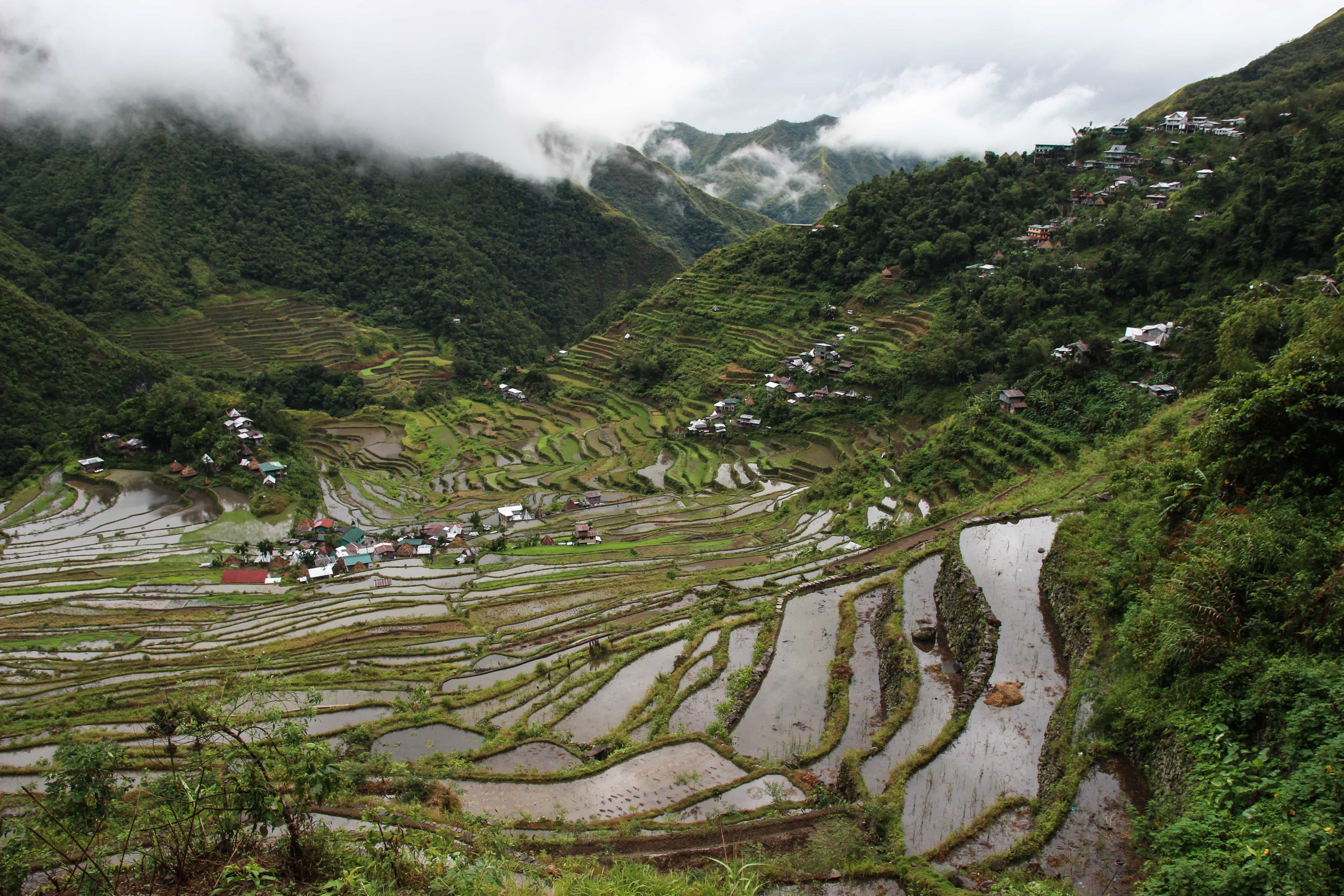 7 Things to do in Banaue (Travel Guide) 8 sebastian herrmann 1329908 unsplash