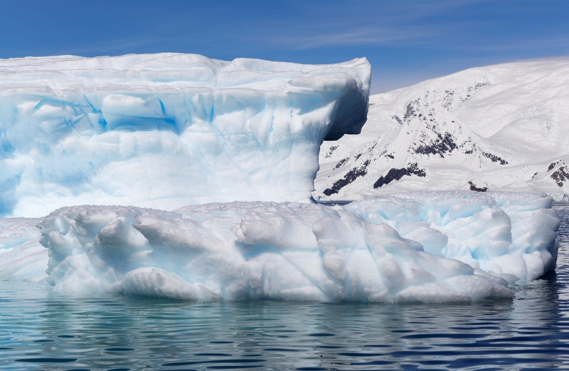 4 antartic