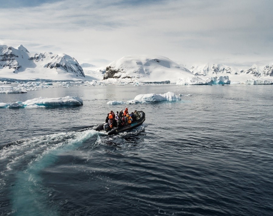 The Best Destinations for an Incredible Wildlife Adventure