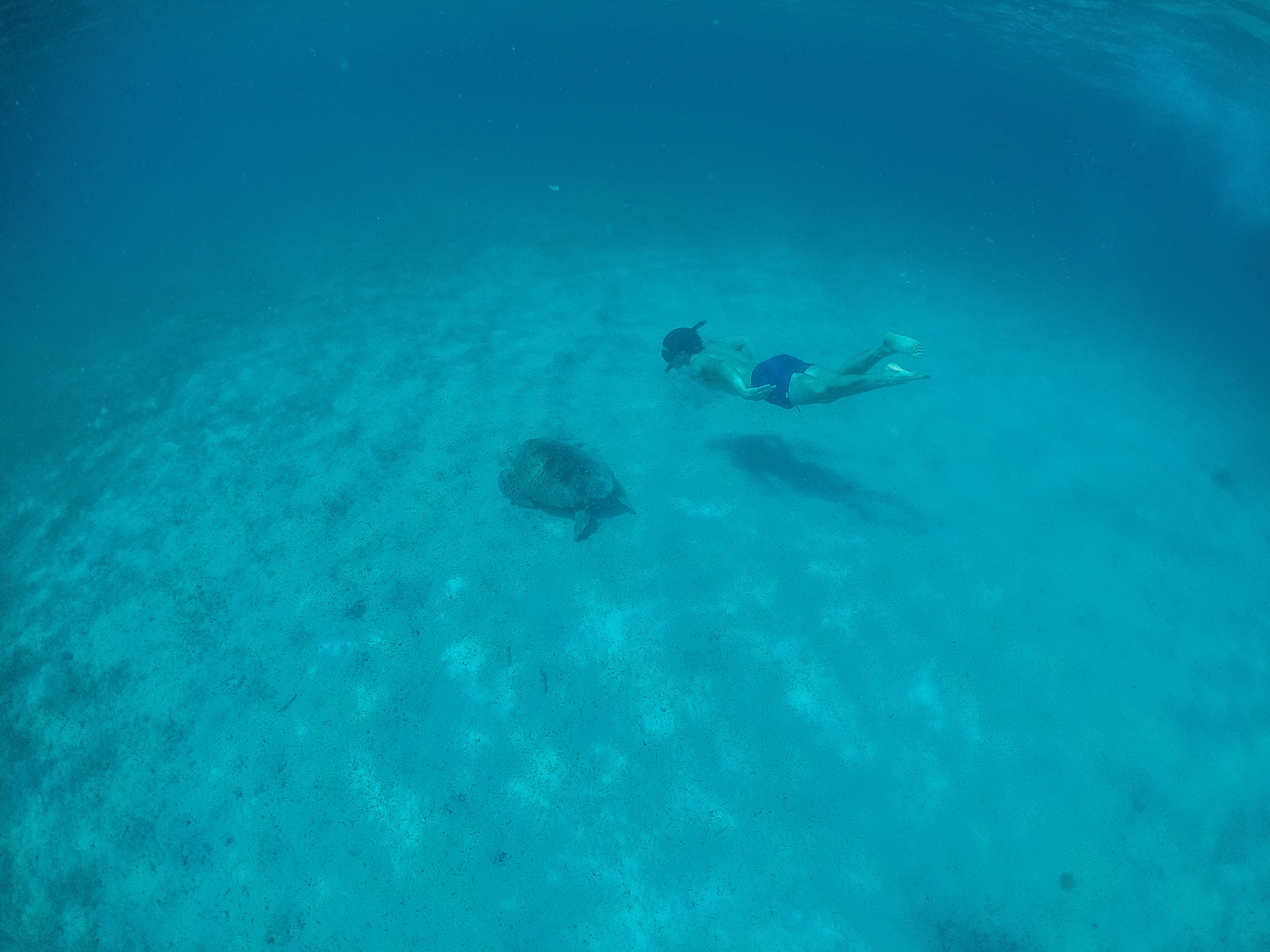 11 Cool Things To Do in San Vicente Palawan (Travel Guide) 6 things to do in San Vicente Palawan, San Vicente Palawan travel guide