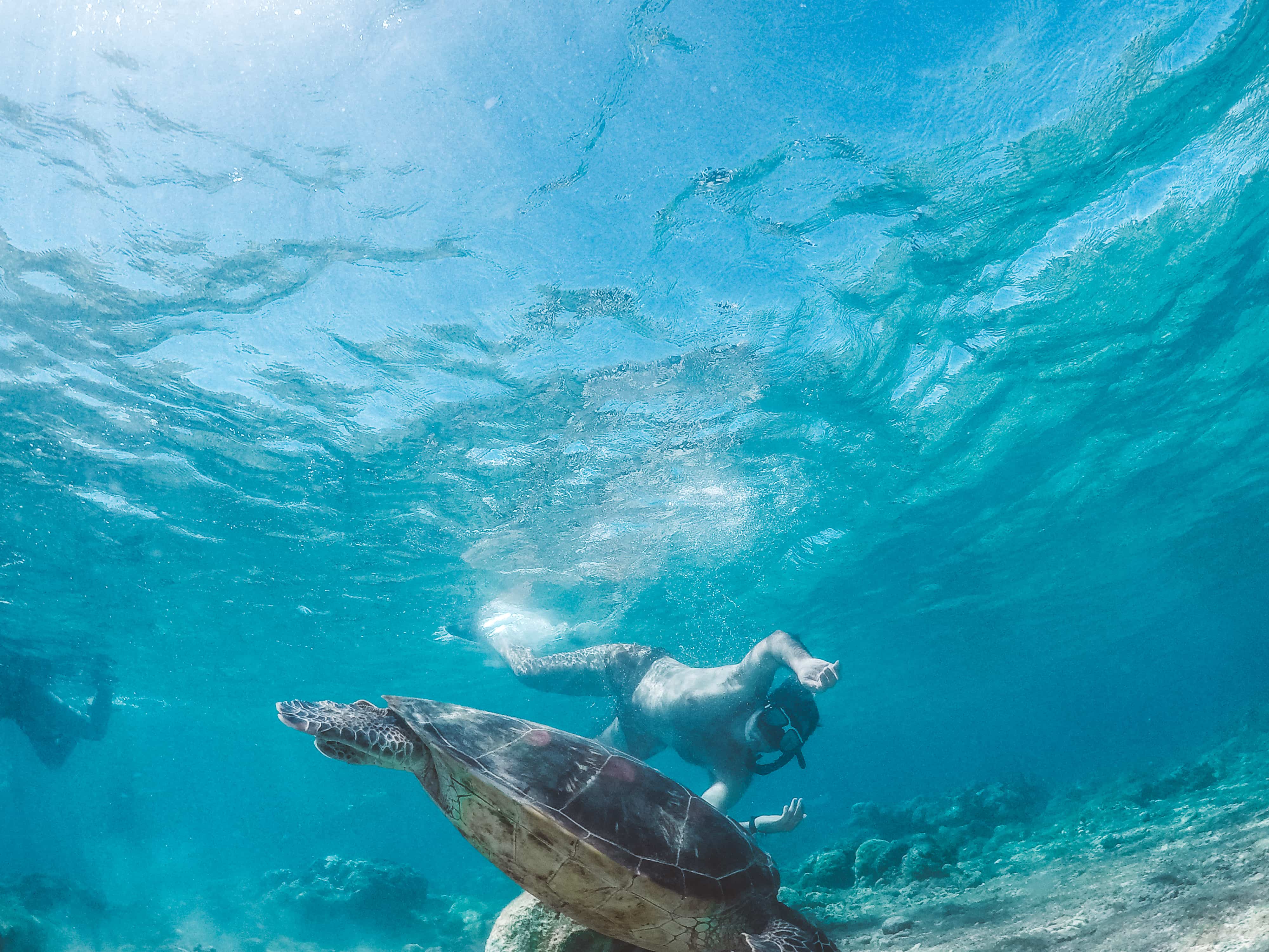 20 Best Siquijor Tourist Spots and Things To Do in Siquijor (Travel Guide) 28 things to do in Dumaguete, dumaguete tourist spots, apo island dumaguete, dumaguete to Cebu, Cebu to Dumaguete,dumaguete city tour itinerary dumaguete itinerary, dumaguete beaches, how to get to dumaguete