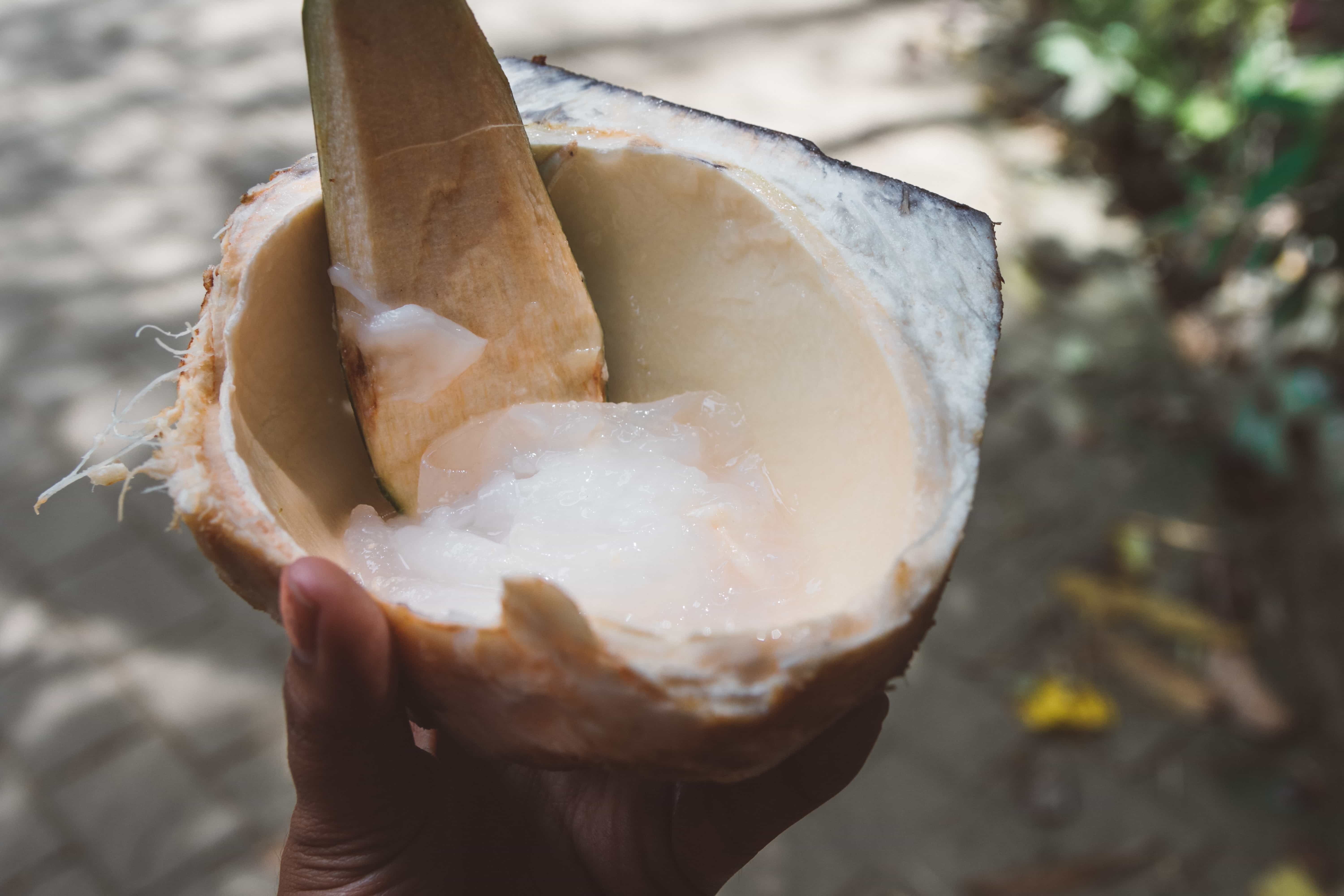 How To Get From Cebu To Kawasan Falls 3 cebu city to kawasan falls, kawasan falls to oslob, How to get to Kawasan Falls, Cebu, things to do in Cebu, Kawasan Falls Canyoneering, Moalboal to Kawasan Falls, Kawasan Falls to Oslob, where to sleep in Kawasan Falls, Kawasan Falls room rates