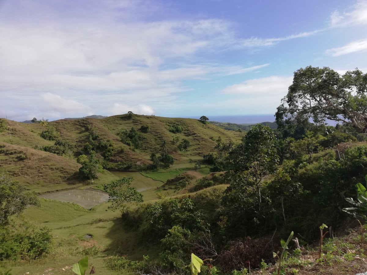 20 Best Siquijor Tourist Spots and Things To Do in Siquijor (Travel Guide) 20 siquijor tourist spots, things to do in siquijor, Mt. Bandilan National Park,