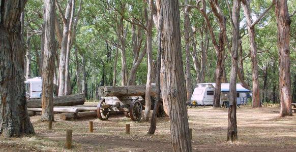 Camping on a Budget in Australia 3 sawpit
