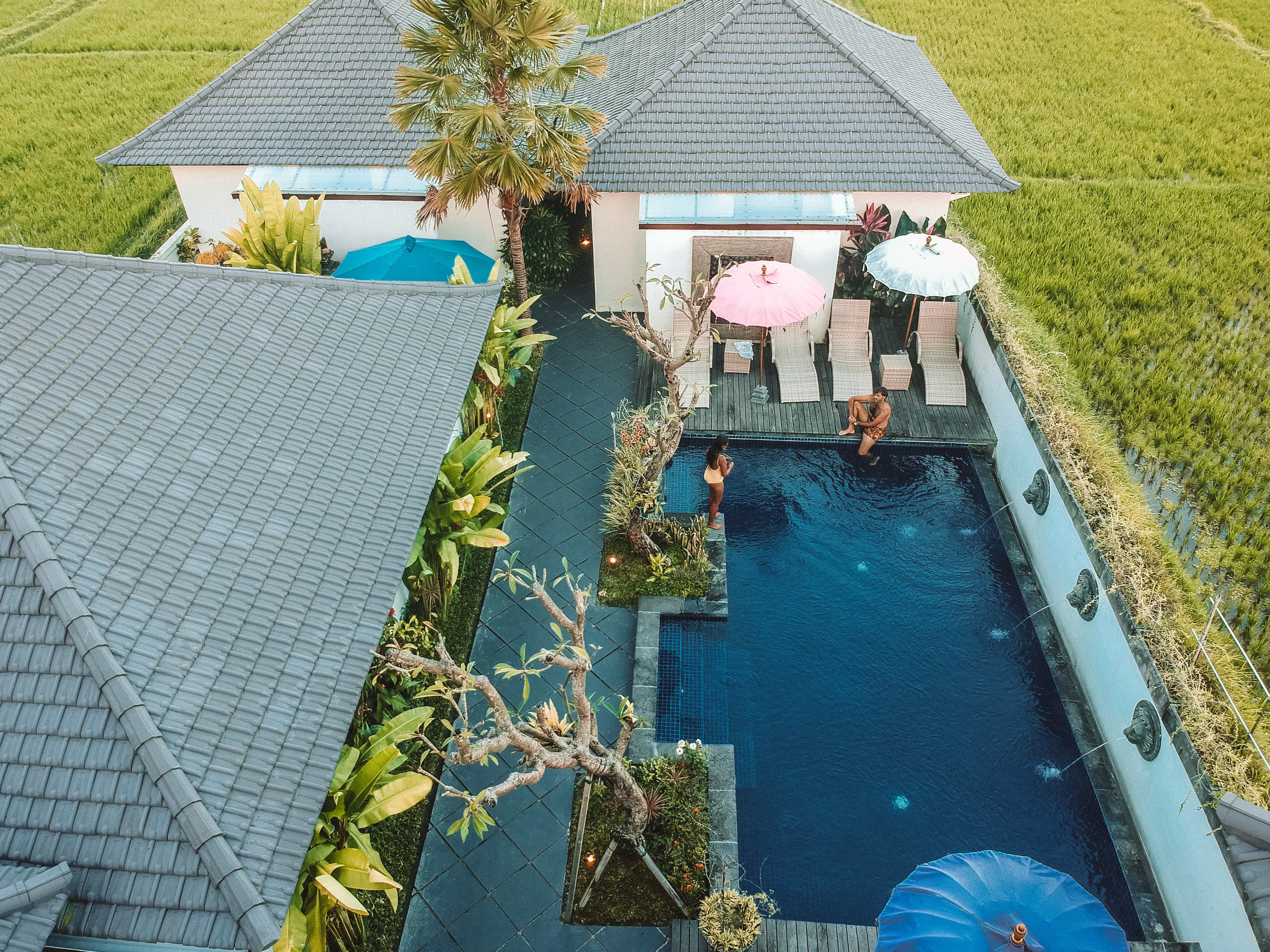 12 Amazing Things To Do In Ubud (Travel Guide) 17 things to do in Ubud, budget to travel in Ubud, visit ricefields in Ubud, where to stay in Ubud, where to sleep in Ubud, how to get to Ubud