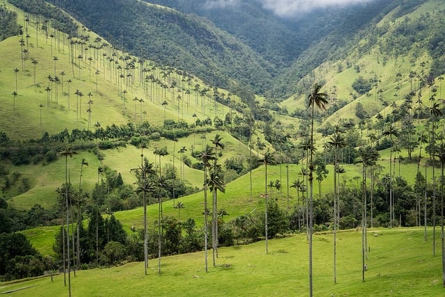 things to do in colombia, backpacking colombia guide, backpacking colombia, best time to visit colombia, how to get to colombia, colombia travel itinerary, places to visit in colombia