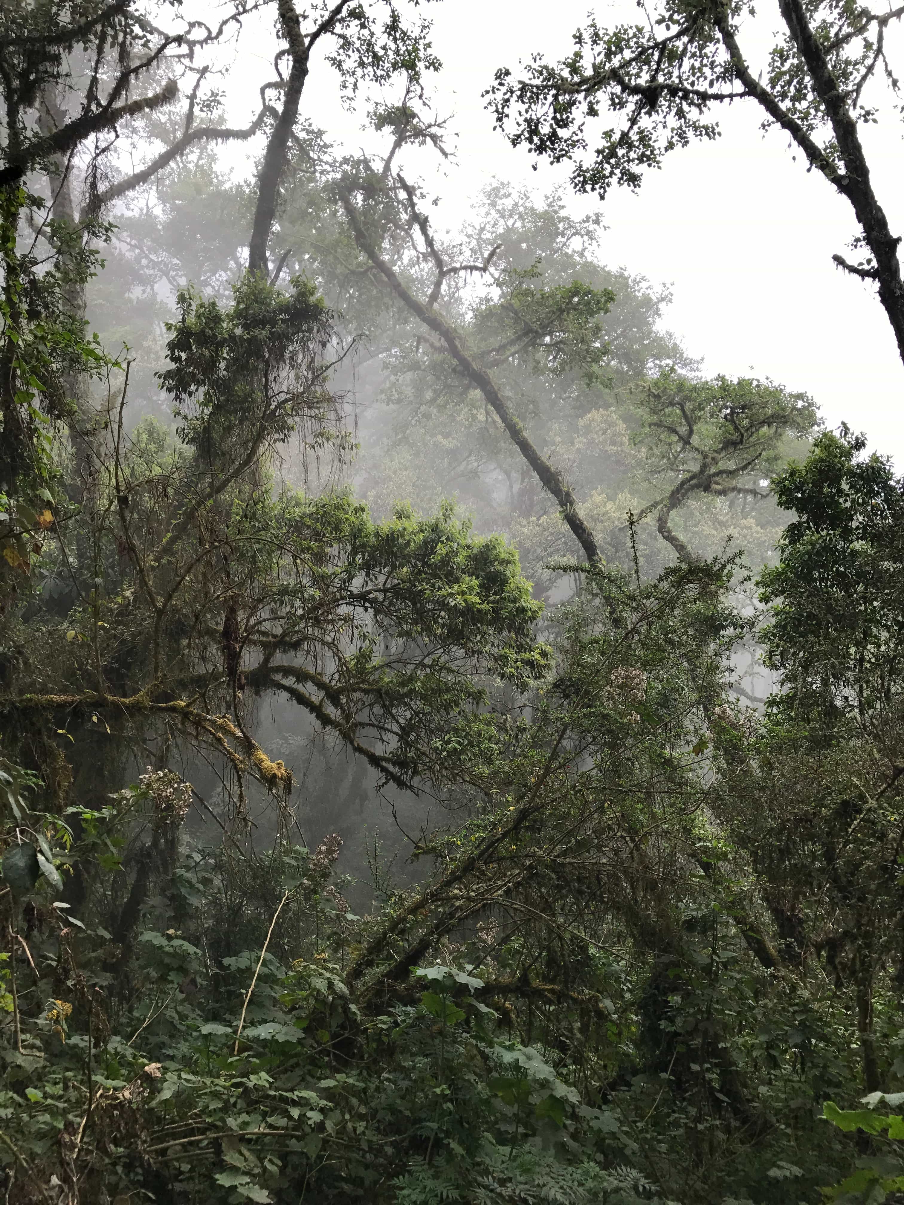 things to do in Guatemala, backpacking Guatemala, places to visit in Guatemala, Guatemala travel guide, Guatemala Travel Itinerary, best time to visit Guatemala, festivals in Guatemala
