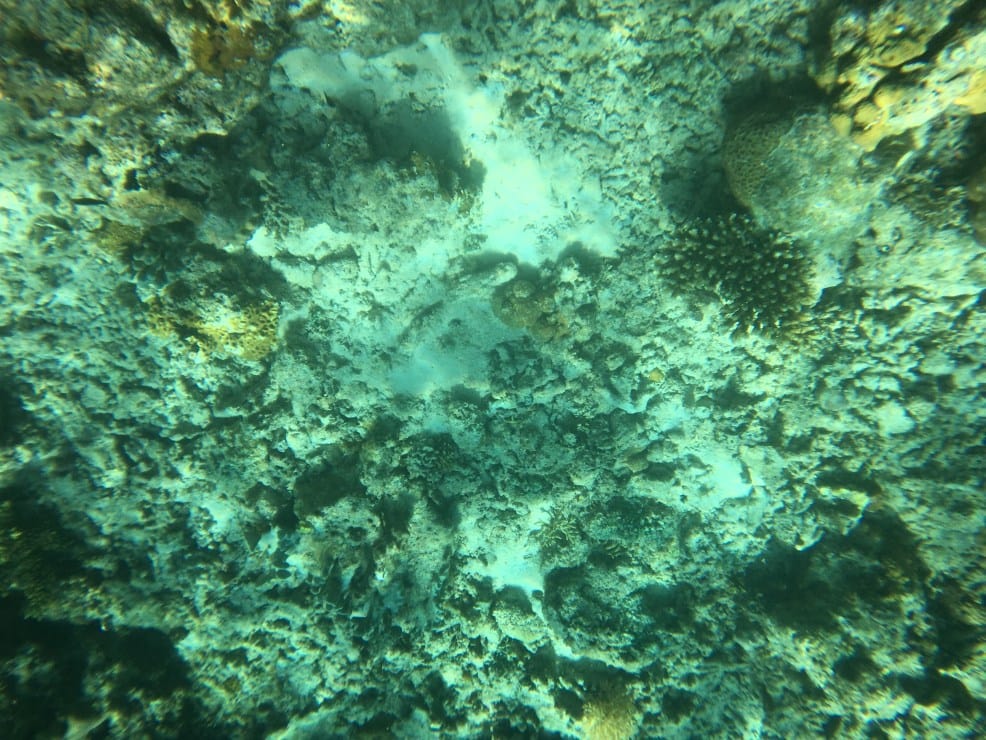 Top intagrammable places in El Nido | Pinagbuyutan Island