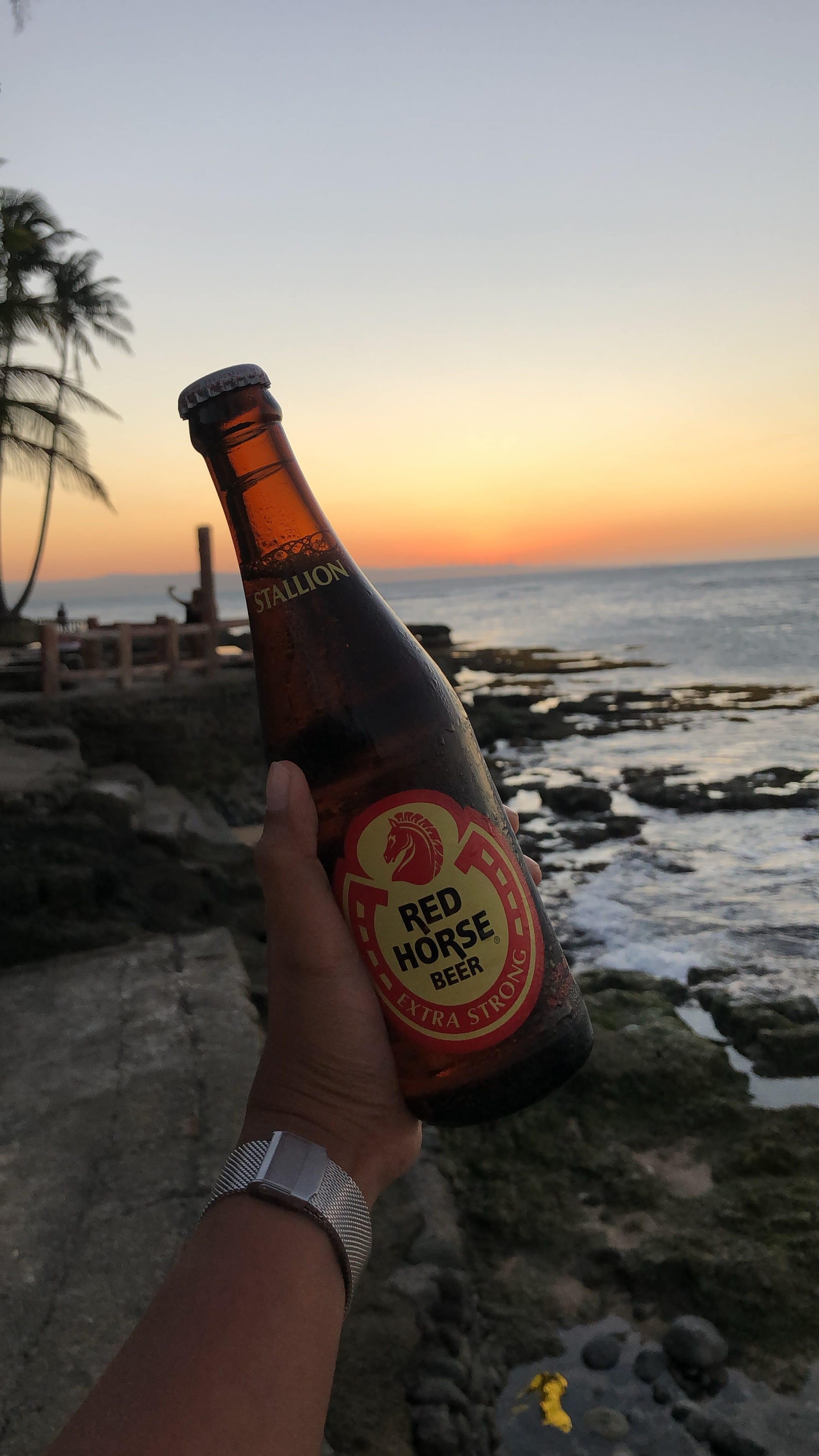 Things to do in Pagudpud, nightlife in Pagudpud