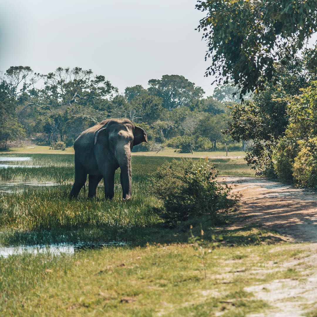 instagrammable places in Sri Lanka, nature park in Sri Lanka
