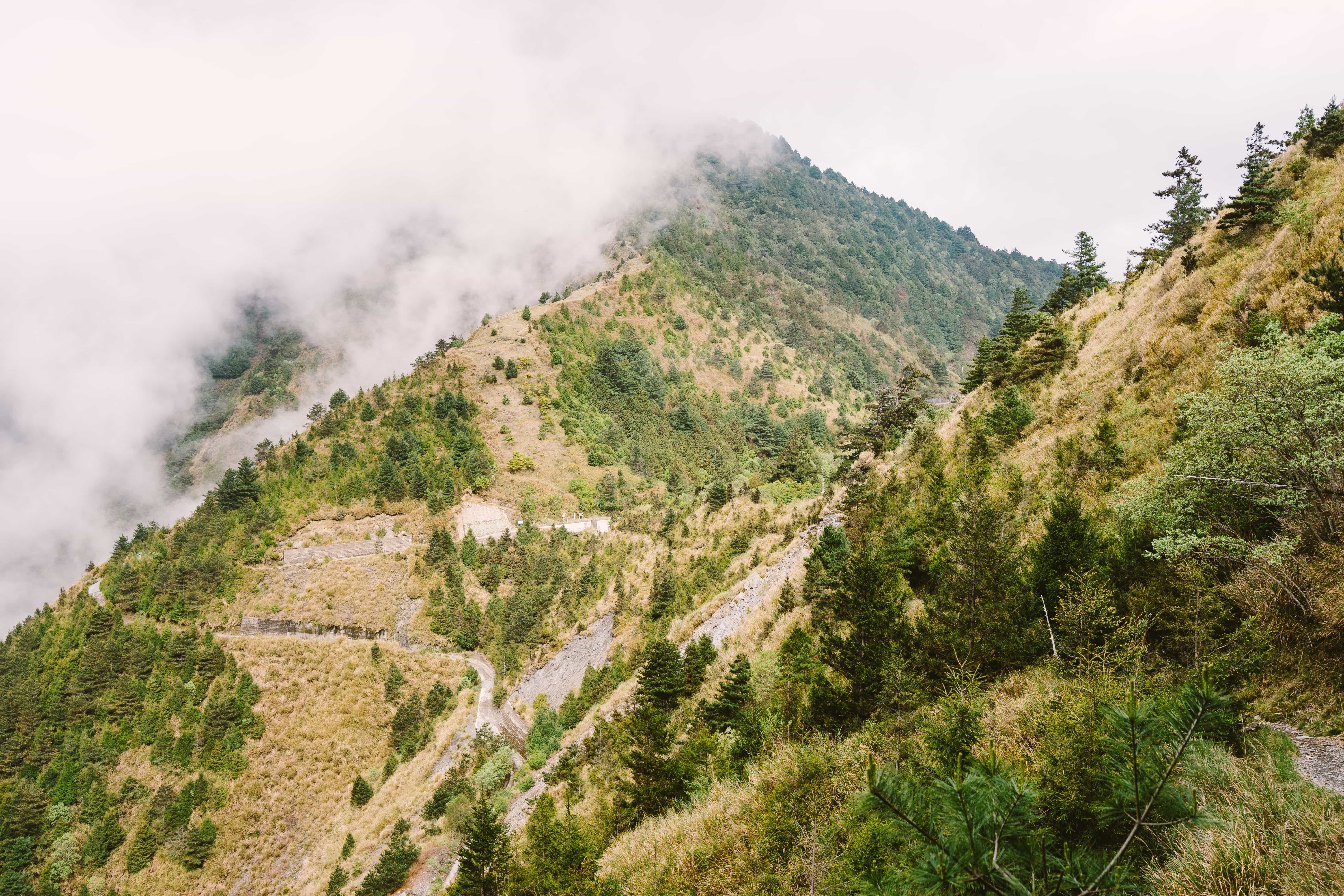 22 Awesome Places to Visit in Taiwan 18 Yushan Hiking Trail, Yushan National Park, Taiwan tourist spots