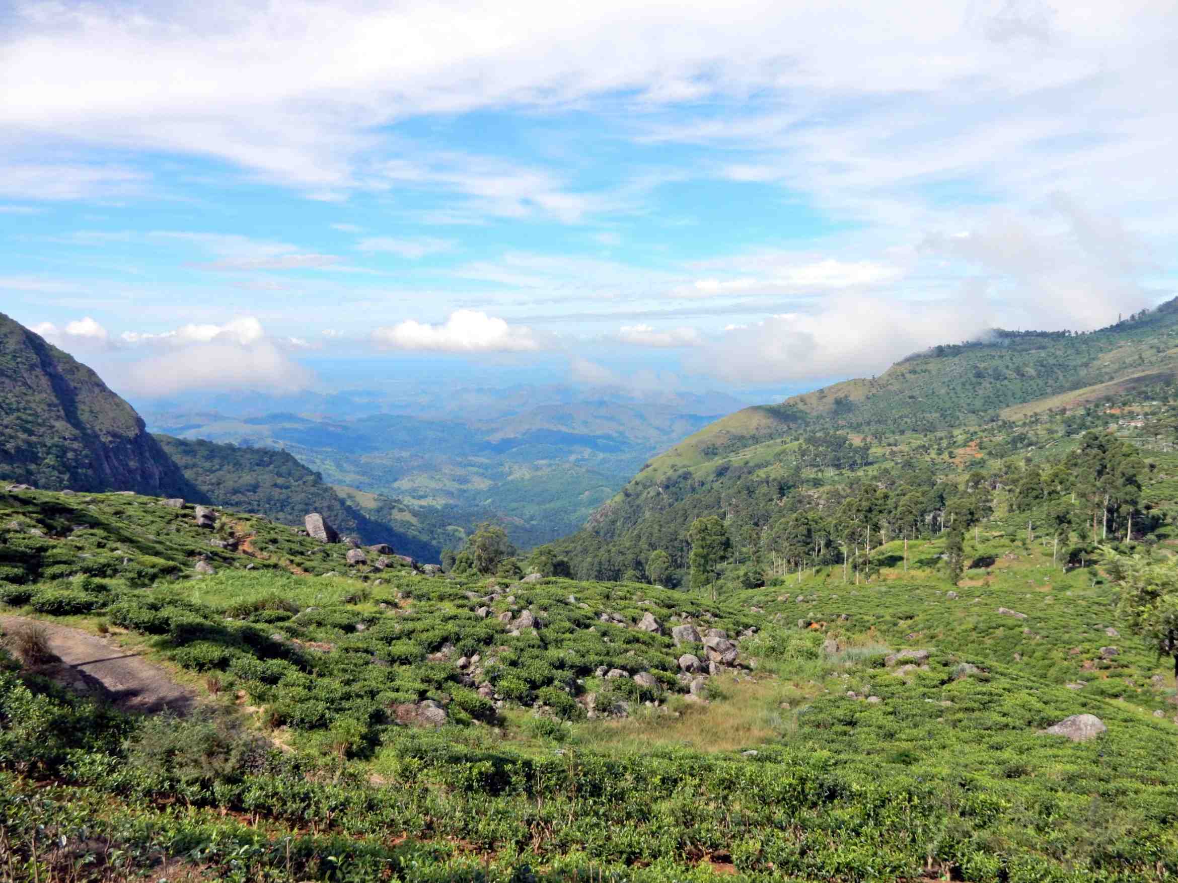 Sri Lanka tourist spots, Haputale