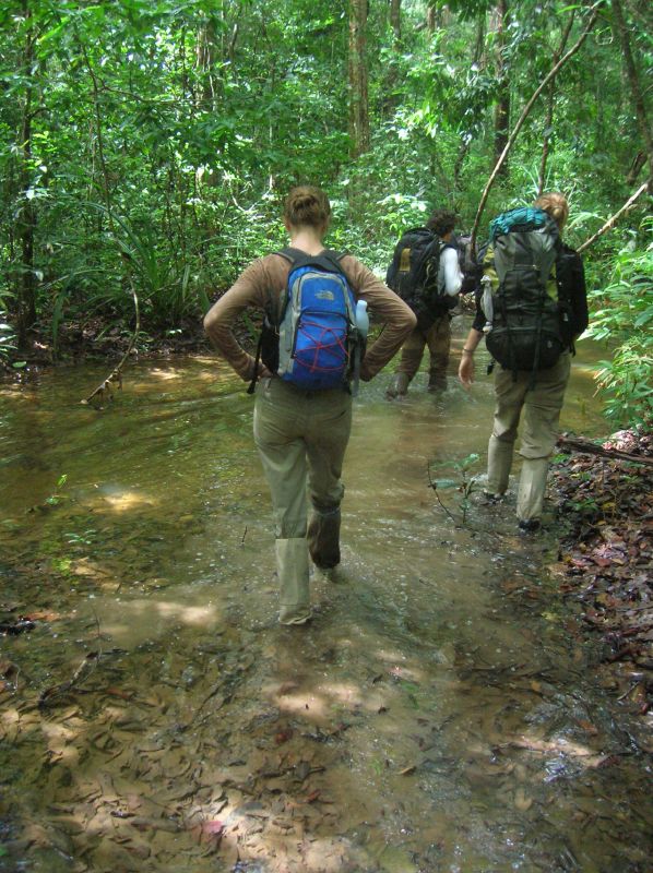 25 Awesome Places to Visit in Cambodia 23 Virachey National Park, Cambodia Tourist Spots