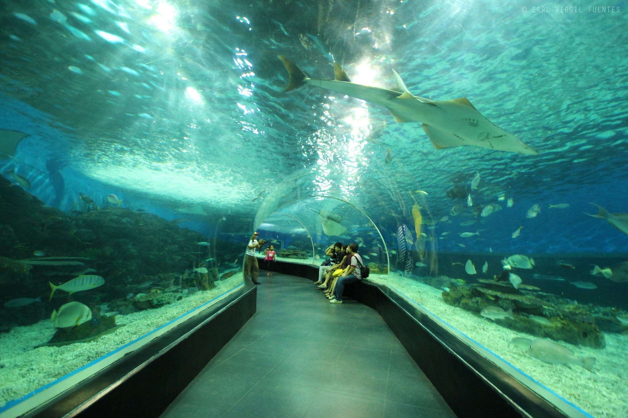 Manila tourist spots, Manila Ocean Park