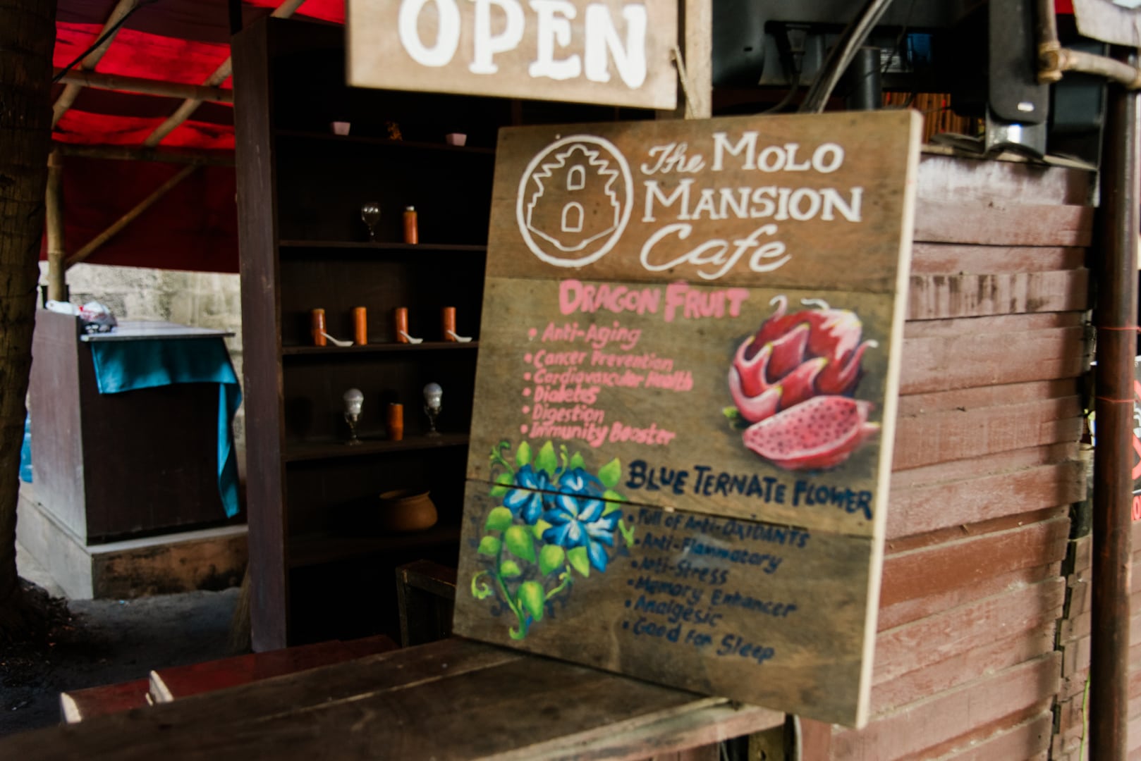 21 Best Iloilo Tourist Spots and Things To Do in Iloilo (Travel Guide) 25 things to do in iloilo, iloilo tourist spots, what to do in iloilo, where to stay in iloilo, what to eat in iloilo, iloilo itinerary, iloilo city travel guide, Molo Mansion, Molo Mansion Cafe