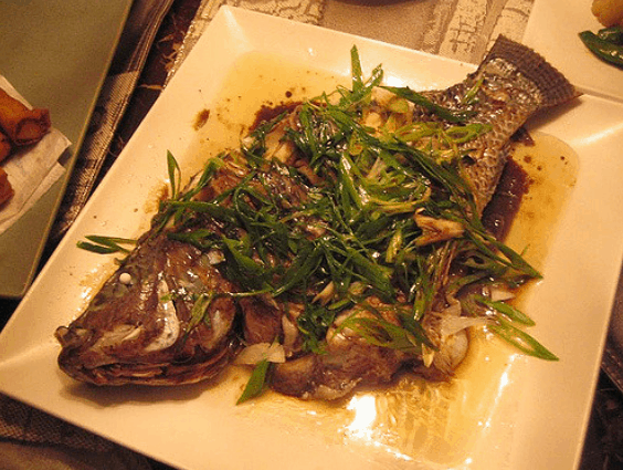 Tilapia