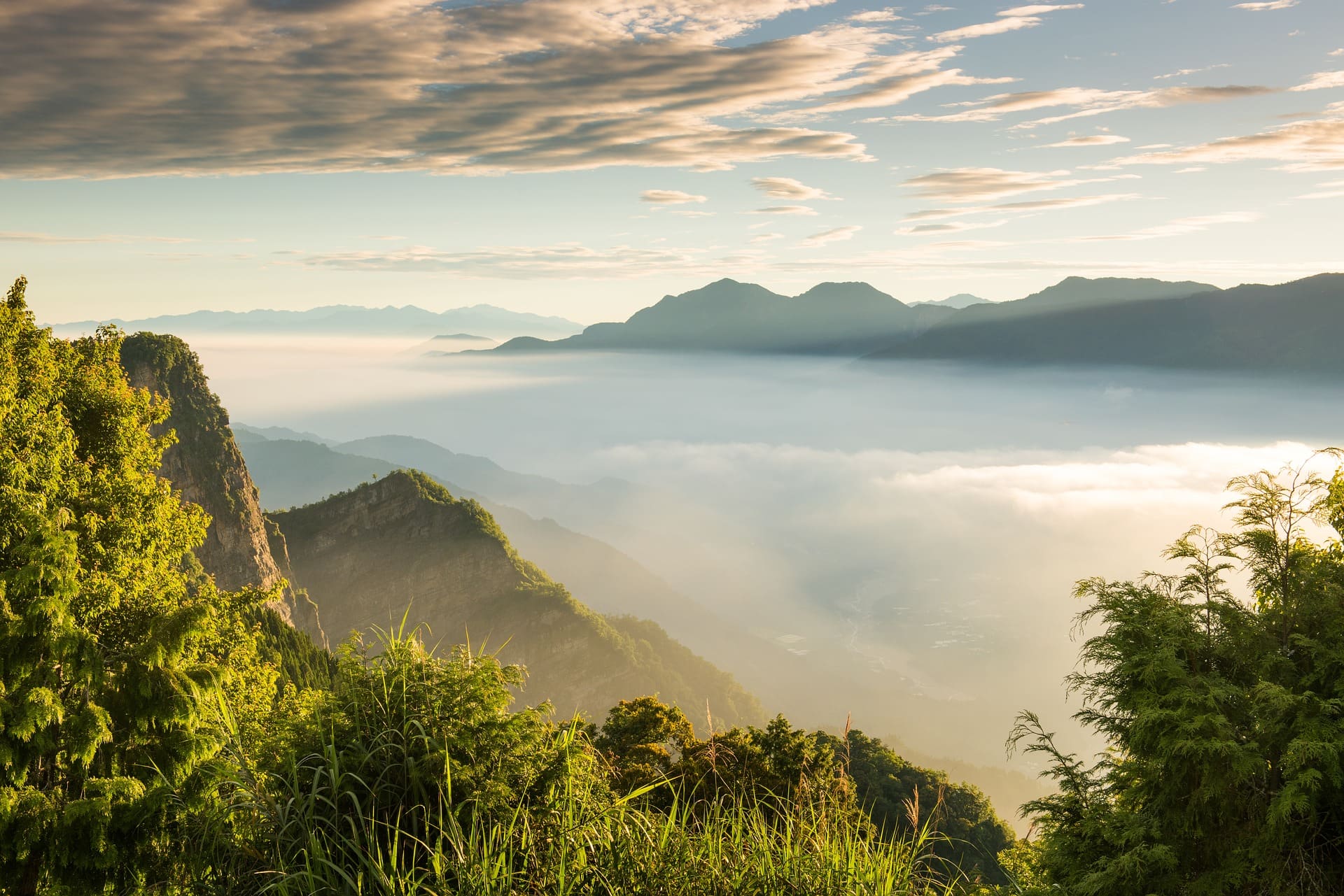 22 Awesome Places to Visit in Taiwan 19 Alishan Mountain, Taiwan tourist spots
