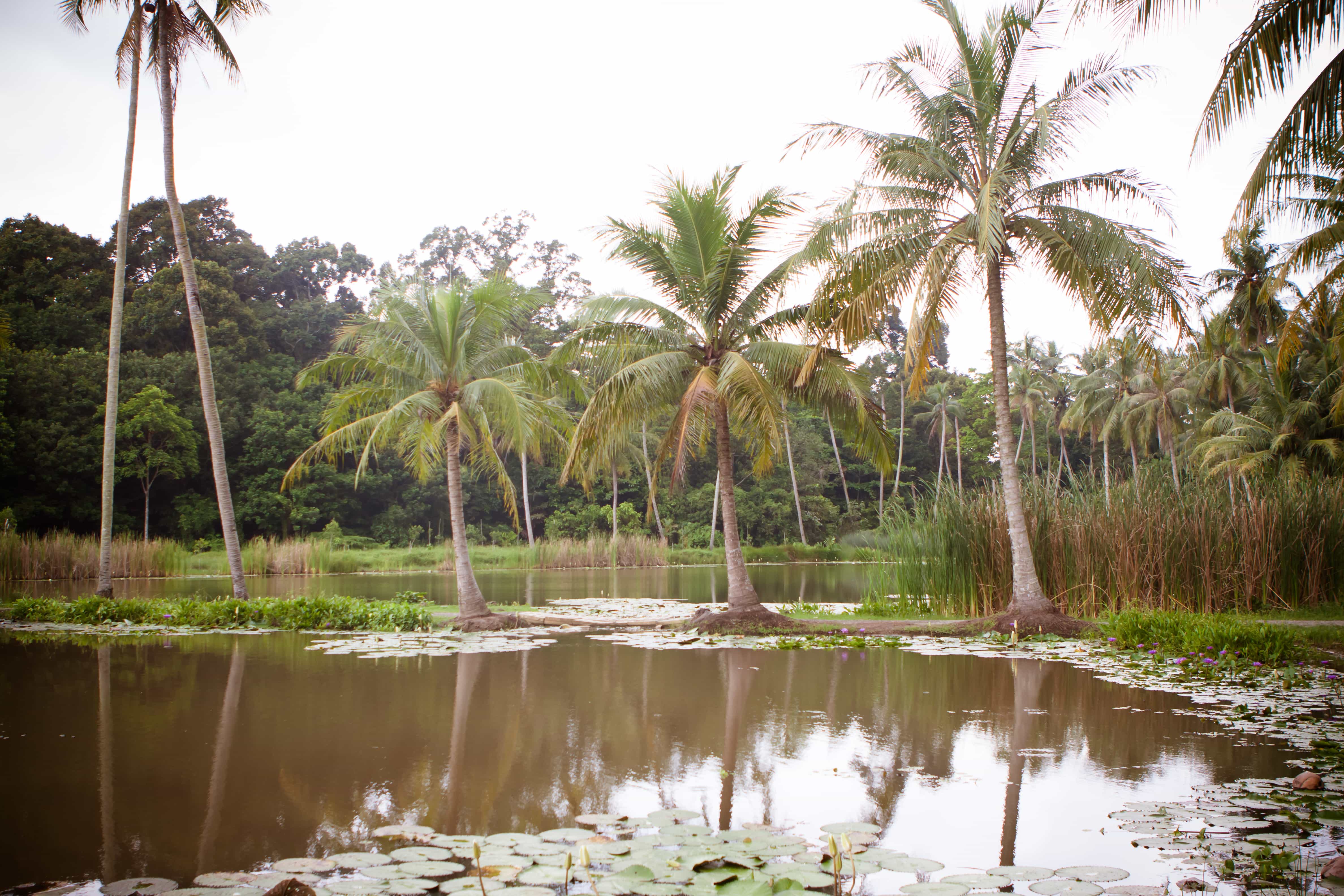 Pulau Ubin, Singapore tourist spots
