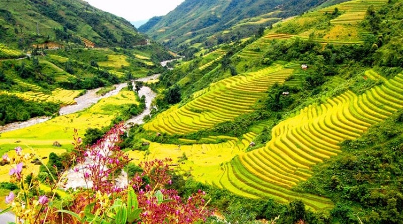 28 Incredible Places to visit in Myanmar 17 Sapa 800x580resize and crop and top
