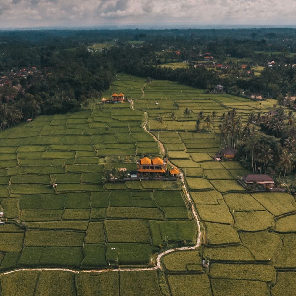 affordable luxury villas in Bali, Ubud, DIdori Villa,