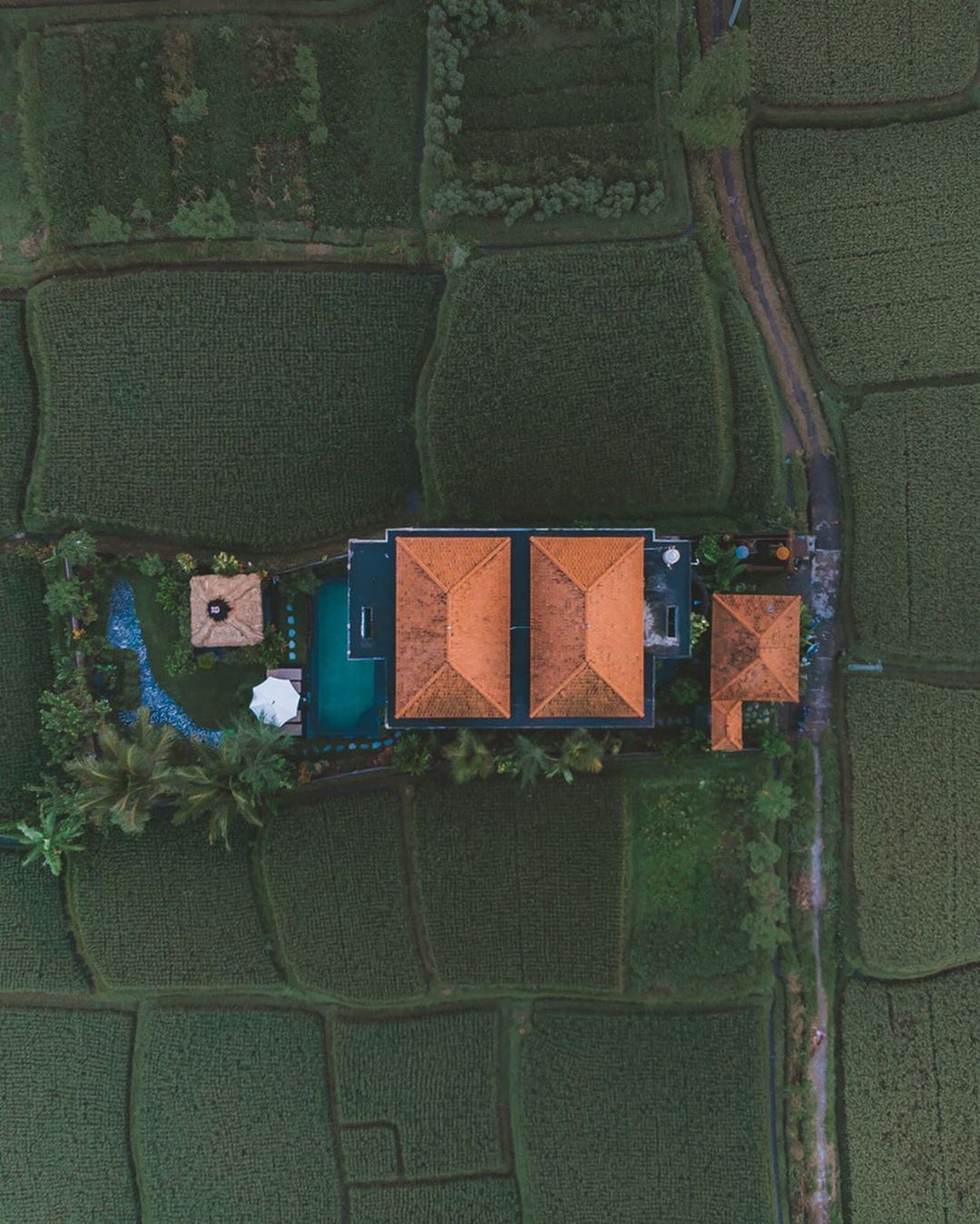 affordable luxury villas in Bali, Ubud, DIdori Villa, Affordable Family Villas in Ubud
