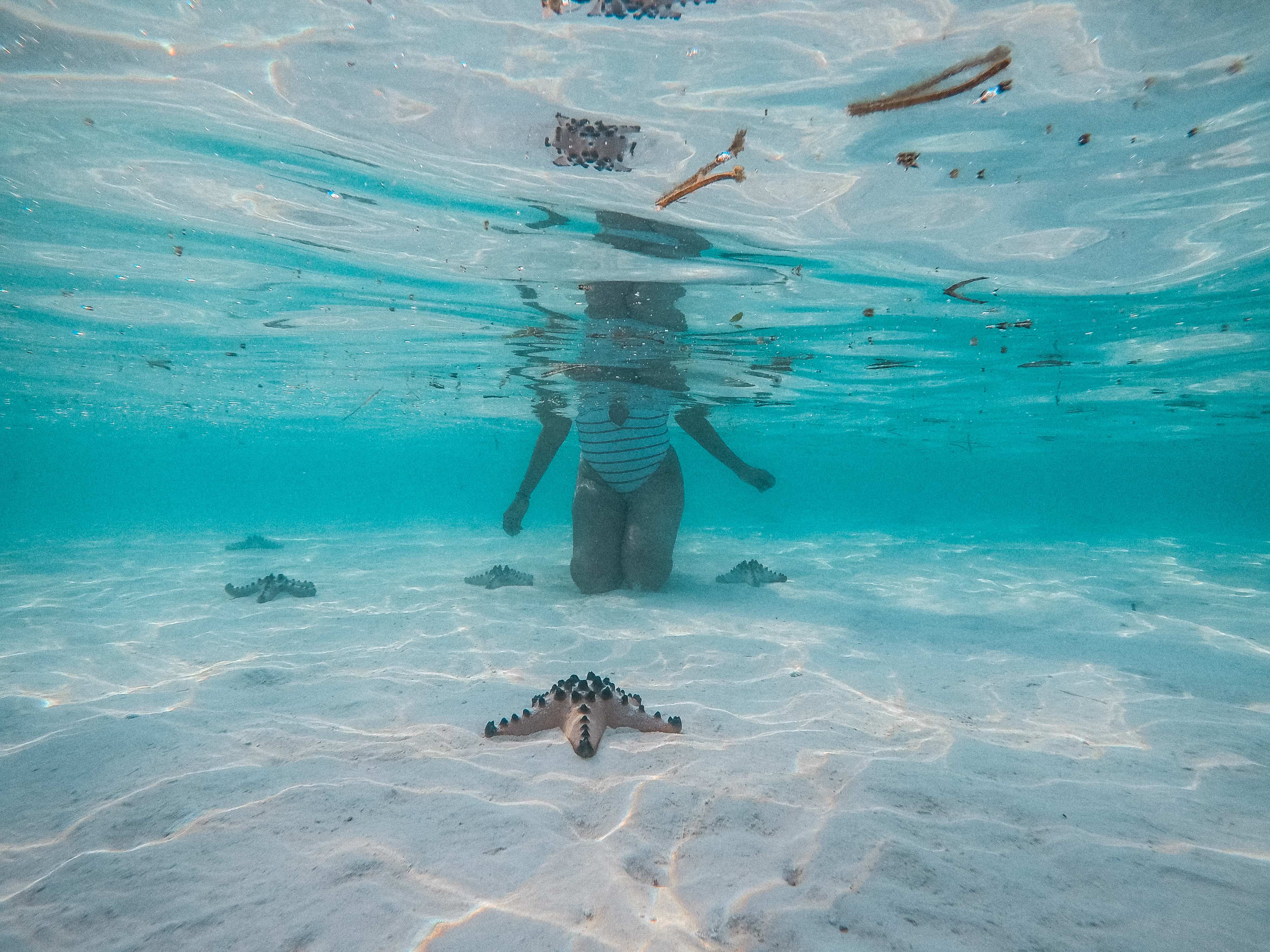 9 Awesome Things to do in Balabac (Travel Guide And Balabac Itinerary) 6 Candamaran Island, Candamaran Sand bar, star fish island, Balabac travel guide, things to do in Balabac