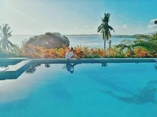 Where to Stay in Guimaras: Top 15 Resorts in Guimaras 3 SunSea Resort, guimaras resorts, resorts in guimaras, beach resorts in guimaras