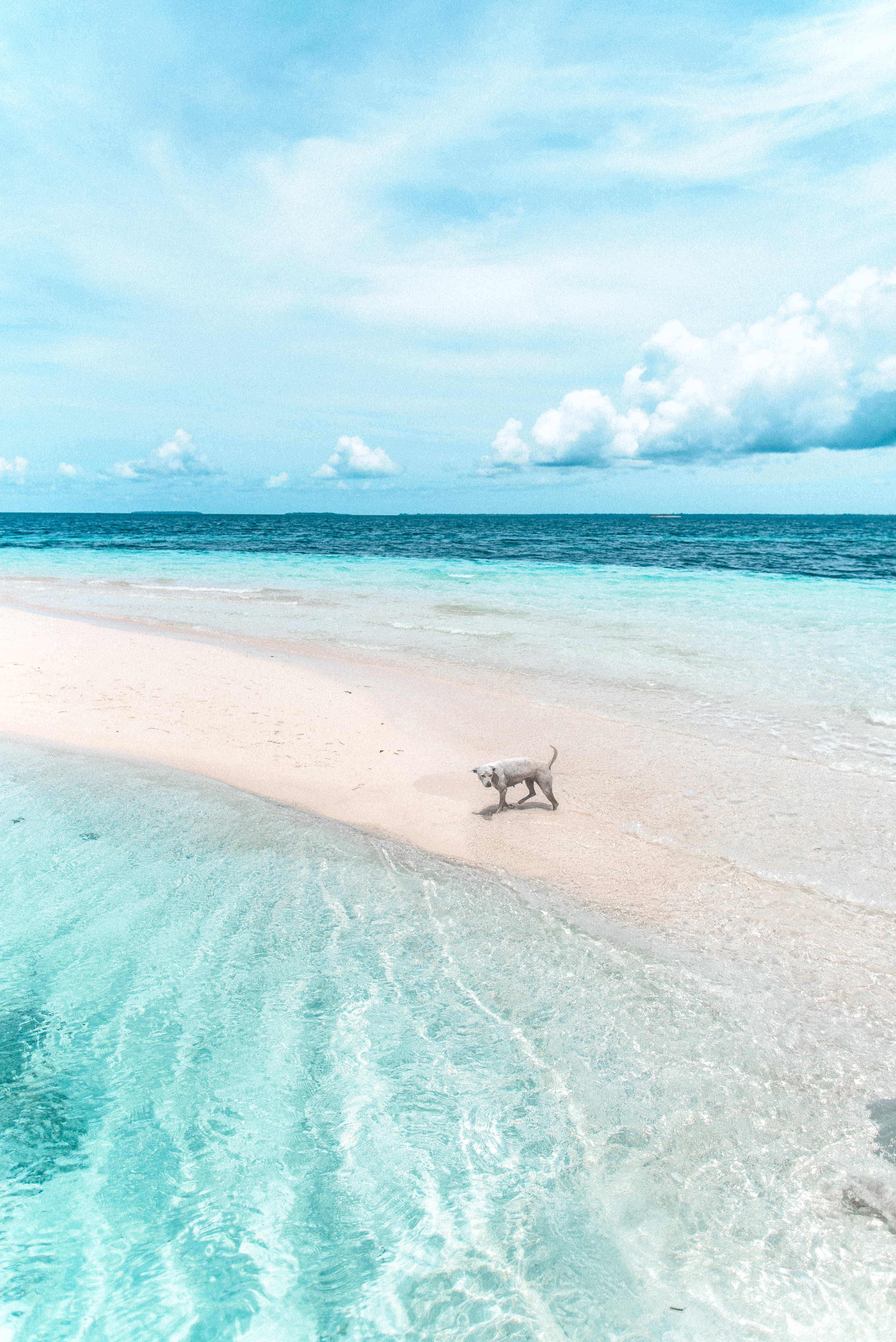 9 Awesome Things to do in Balabac (Travel Guide And Balabac Itinerary) 18 Balabac travel guide, island hopping in Balabac, things to do in Balabac, how to get to Balabac, Tangkahan,