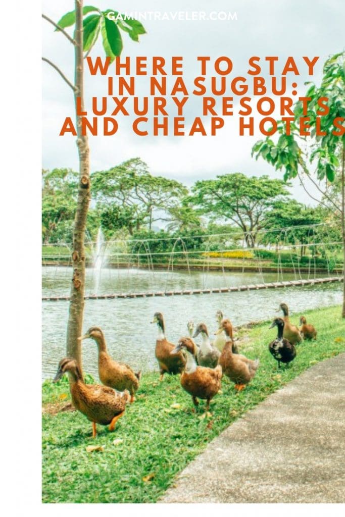 This image has an empty alt attribute; its file name is where-to-stay-in-Nasugbu-pin-683x1024.jpg