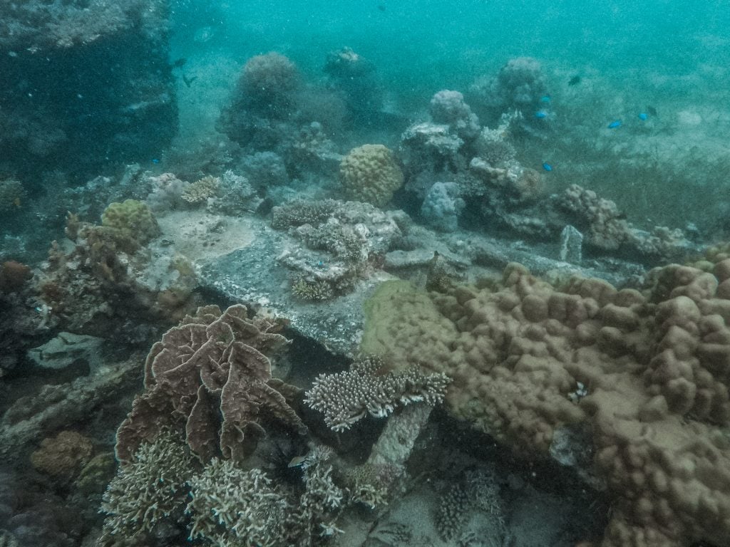 El Nido to Coron Expedition Tour with Buhay Isla Eco Tour 4 island hopping from El Nido to Coron, el nido to coron expedition tour, Buhay Isla Eco Tour, Daracoton Island Shipwreck , el nido to coron island hopping, el nido to coron tour, el nido to coron expedition, el nido to coron boat trip