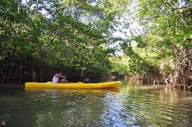 28 Awesome Coron Tourist Spots (Coron Travel Guide) 35 Kingfisher Park, Coron tourist spots