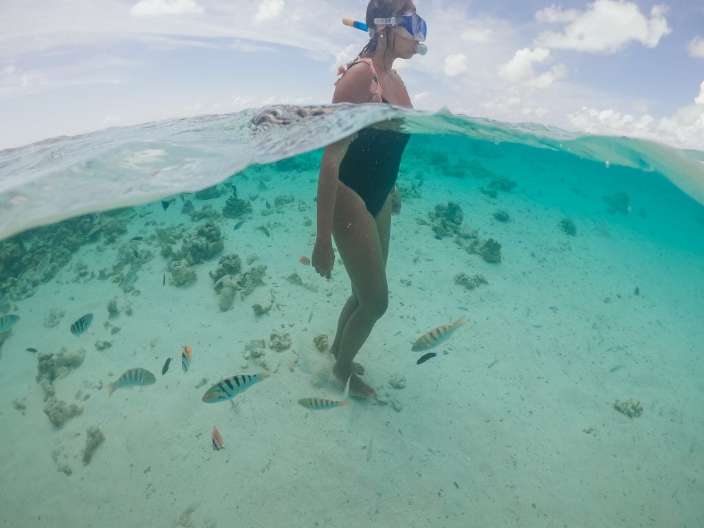 Park Hyatt Hadahaa Review - Best Luxury Resort In Maldives 6 Park Hyatt Hadahaa in Maldives