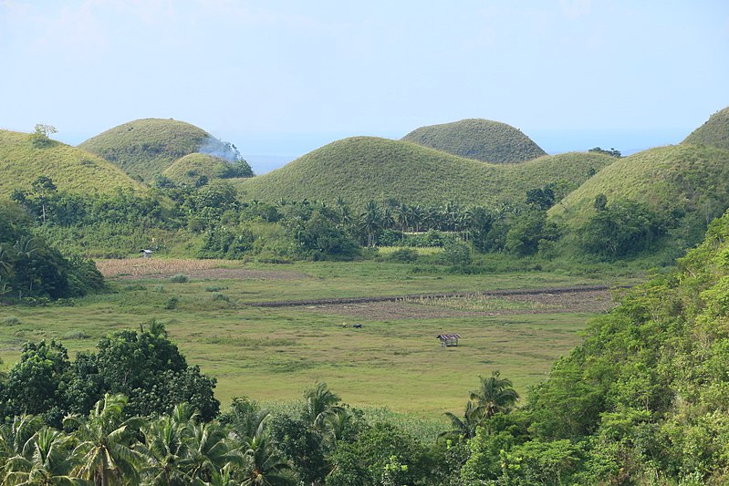32 Best Places to Visit in Bohol (Travel Guide) 20 Sagbayan Peak, places to visit in Bohol