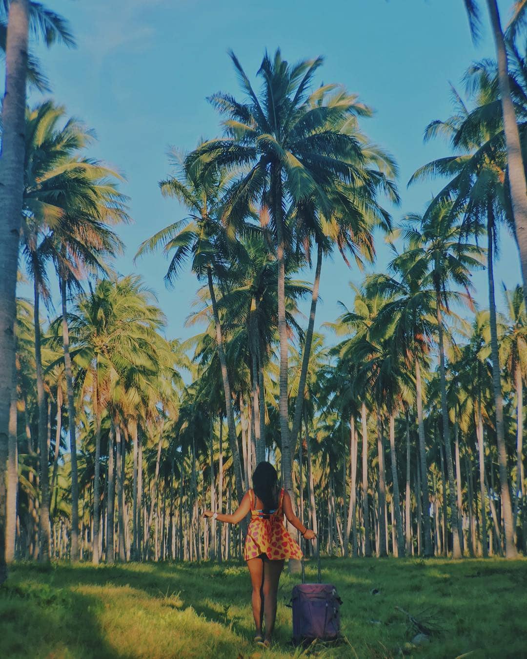 Philippines Beaches, Things to do in San Vicente Palawan, San Vicente Palawan Travel Guide