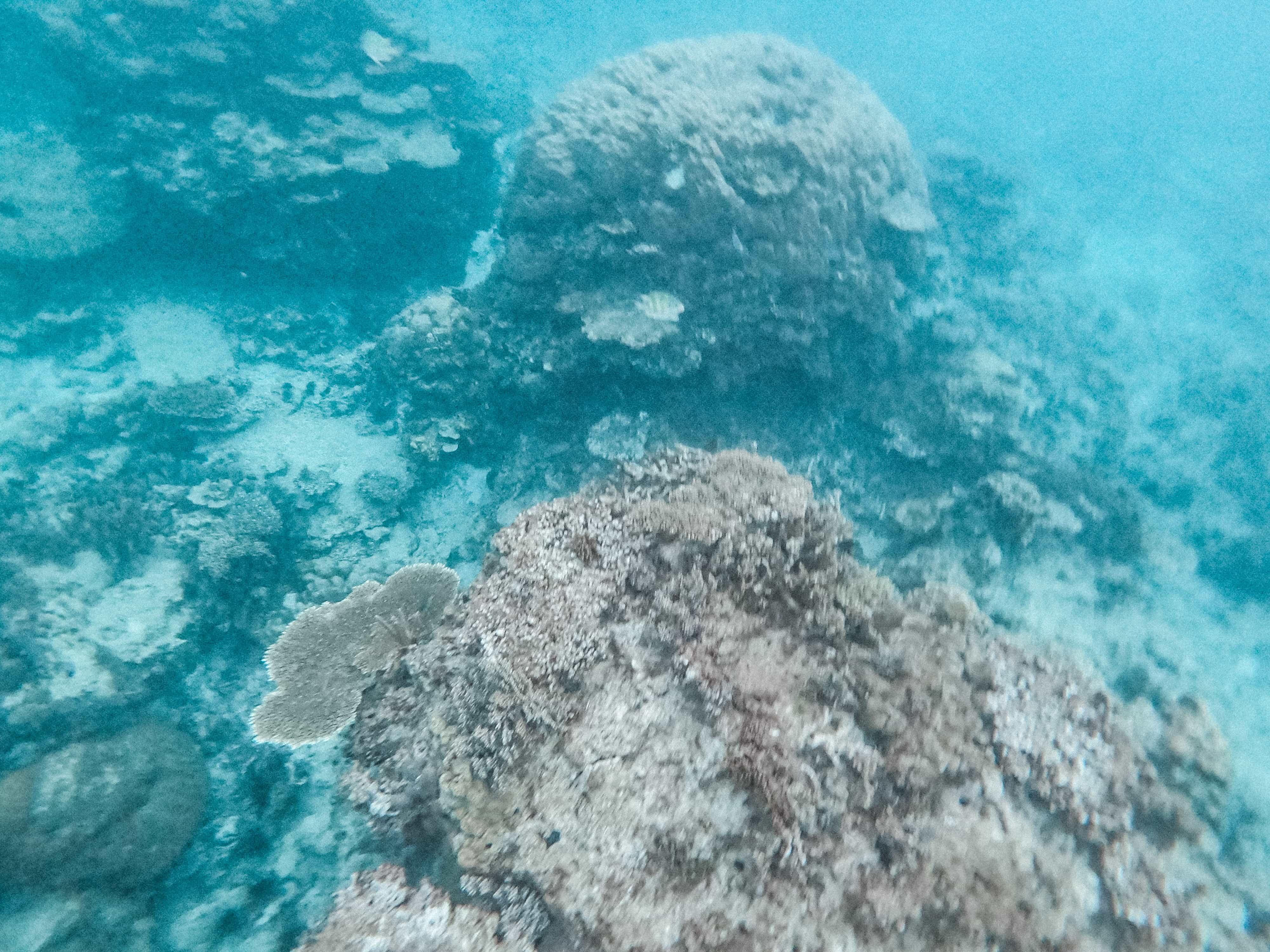 Balagbag Island (Travel Guide) 5 Balagbag Island