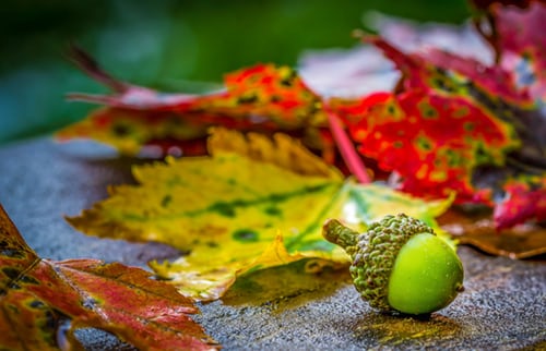 28 Things to Know Before Visiting Taiwan And Best Taiwan Travel Tips 13 Bettle Nut, Things to know before visiting Taiwan