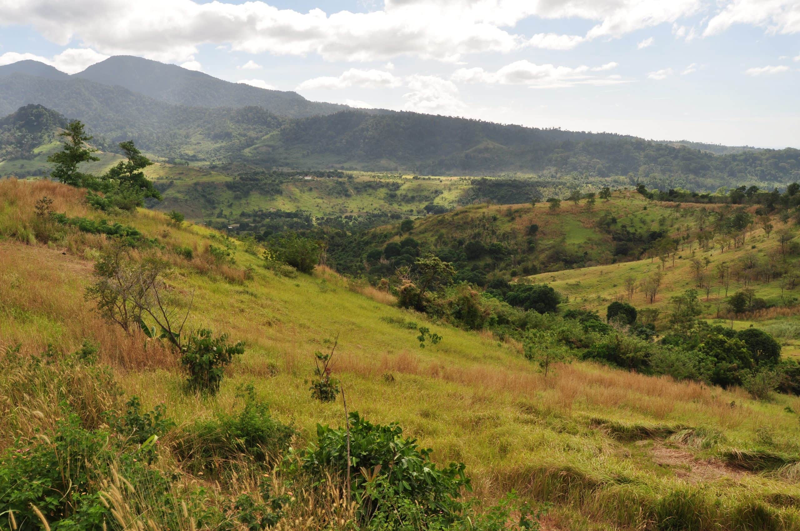 25 Awesome Bataan Tourist Spots (Batan Travel Guide) 29 Bataan National Park
