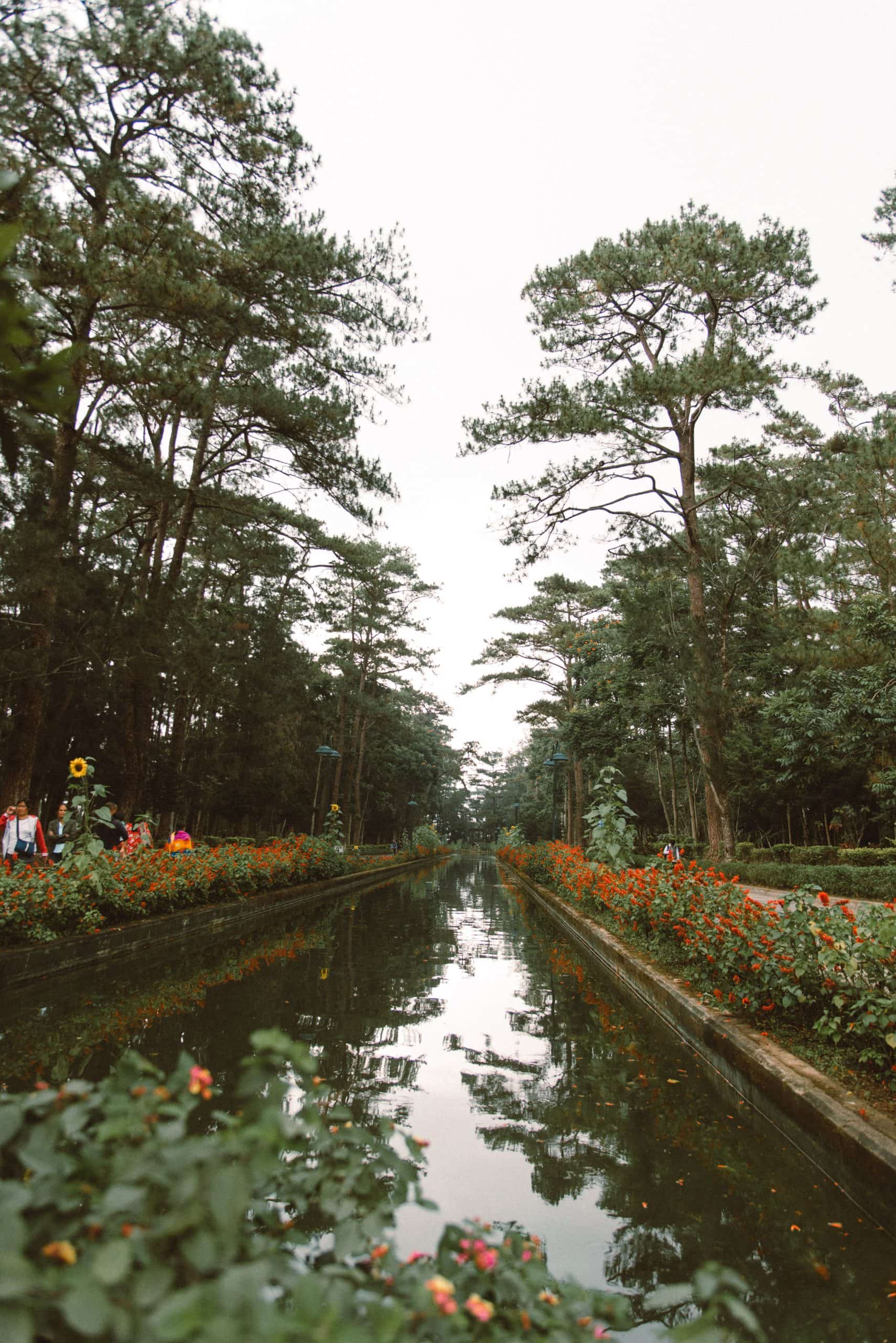 30 Awesome Things to do in Baguio And Baguio Tourist Spots 9 Baguio tourist spots, Baguio travel guide, Wright Park