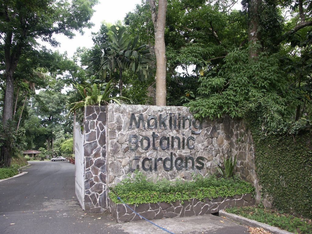 25 AWESOME LAGUNA TOURIST SPOTS (LAGUNA TRAVEL GUIDE) 12 Makiling Botanical Gardens
