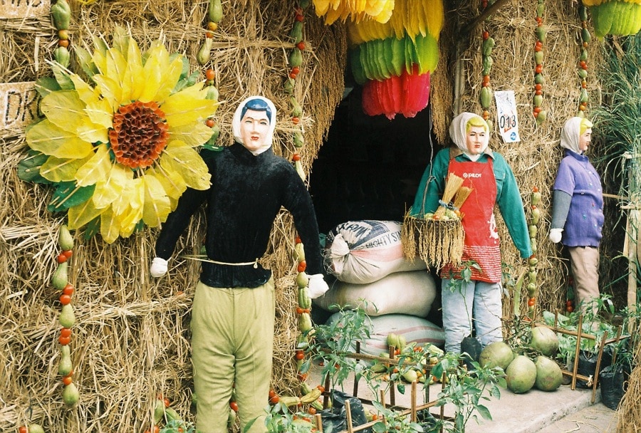 Best Time to Visit The Philippines: Rainy Or Dry Season? 12 Pahiyas Festival