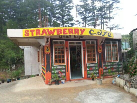 Where to eat in Sagada: 15 Best Restaurants in Sagada 18 Strawberry Cafe