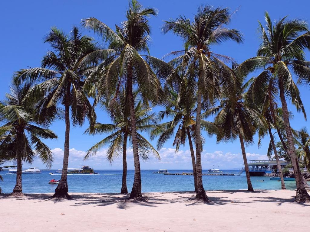 BlueFins Resort, 
beach resorts in cebu, cebu beach resorts, hotes in cebu city, beach resorts north cebu, beach resorts south cebu, mactan resorts, beach resorts in mactan, beach resorts in nort cebu, beach resorts in south cebu