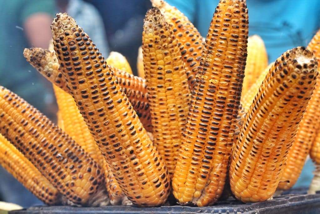 30 Best Food in Guatemala And Best Guatemalan Dishes 23 Elote, guatemala food, guatemalan food, guatemalan desserts, guatemalan tamales, guatemalan cuisine, guatemalan dishes, guatemala dishes, guatemalan street food, dishes from guatemala, food in guatemala