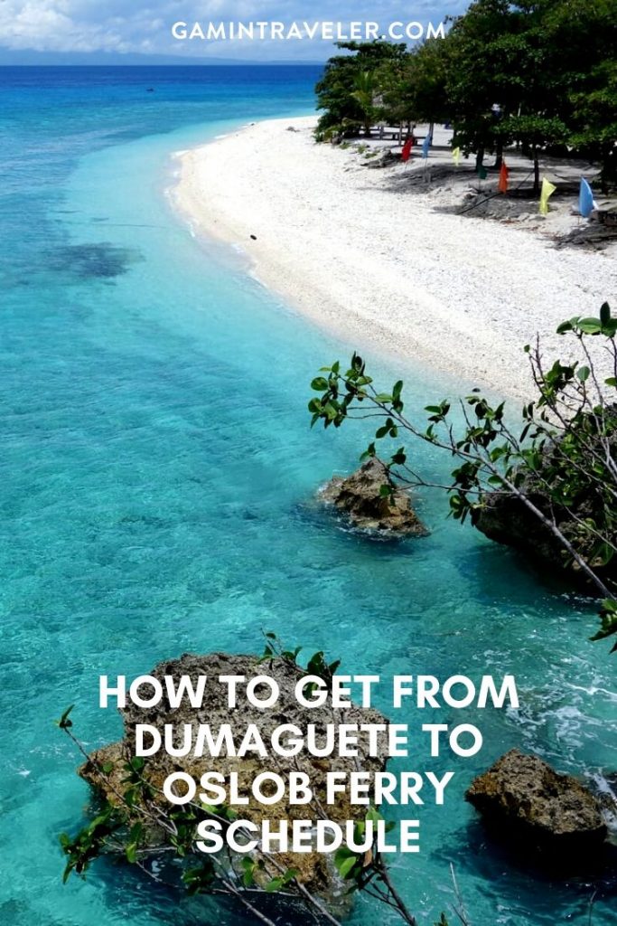 How to get from Dumaguete to Oslob Best Way (Ferry Schedule And Price) 1 dumaguete to oslob, oslob to dumaguete, dumaguete to oslob ferry, dumaguete to oslob ferry schedule, dumaguete to oslob roro