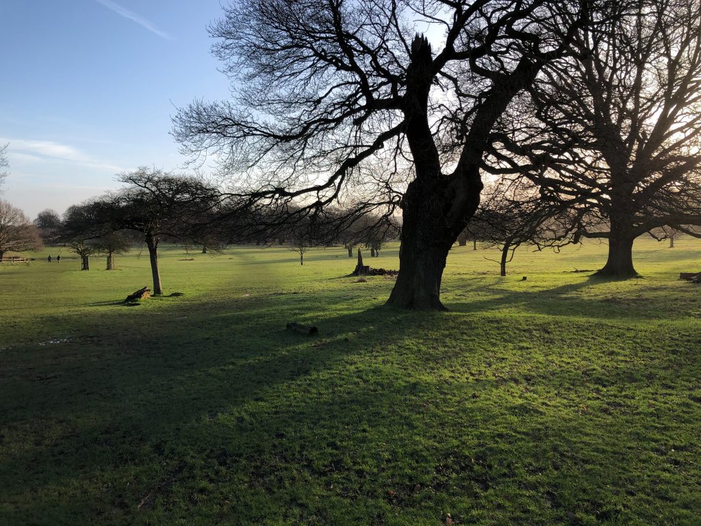 Top 10 Walking Routes in the UK to Try Now 6 The Thames Path