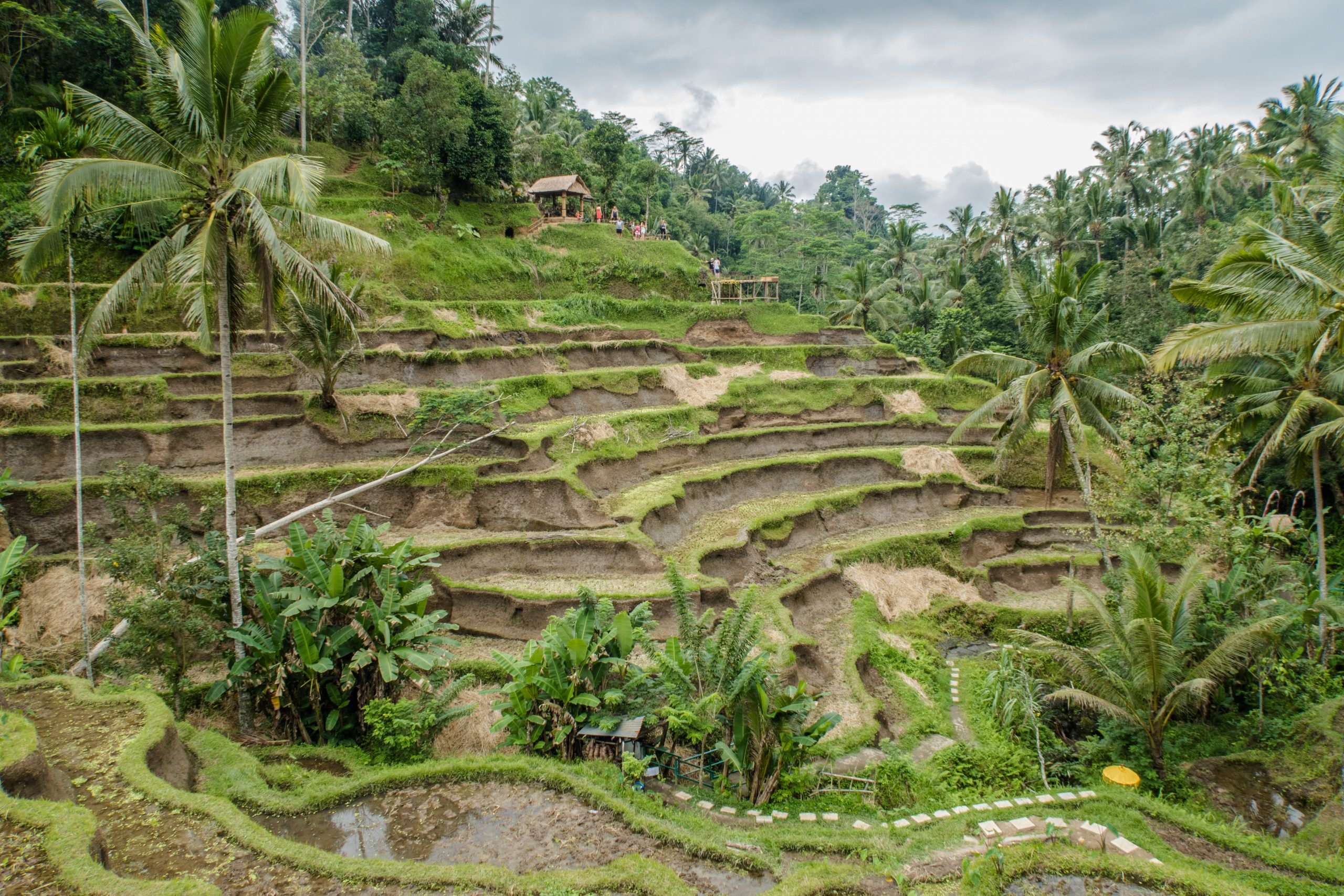 Best Things To Do In Bali And Places To Visit in Bali 4 Best Things To Do In Bali And Places To Visit in Bali